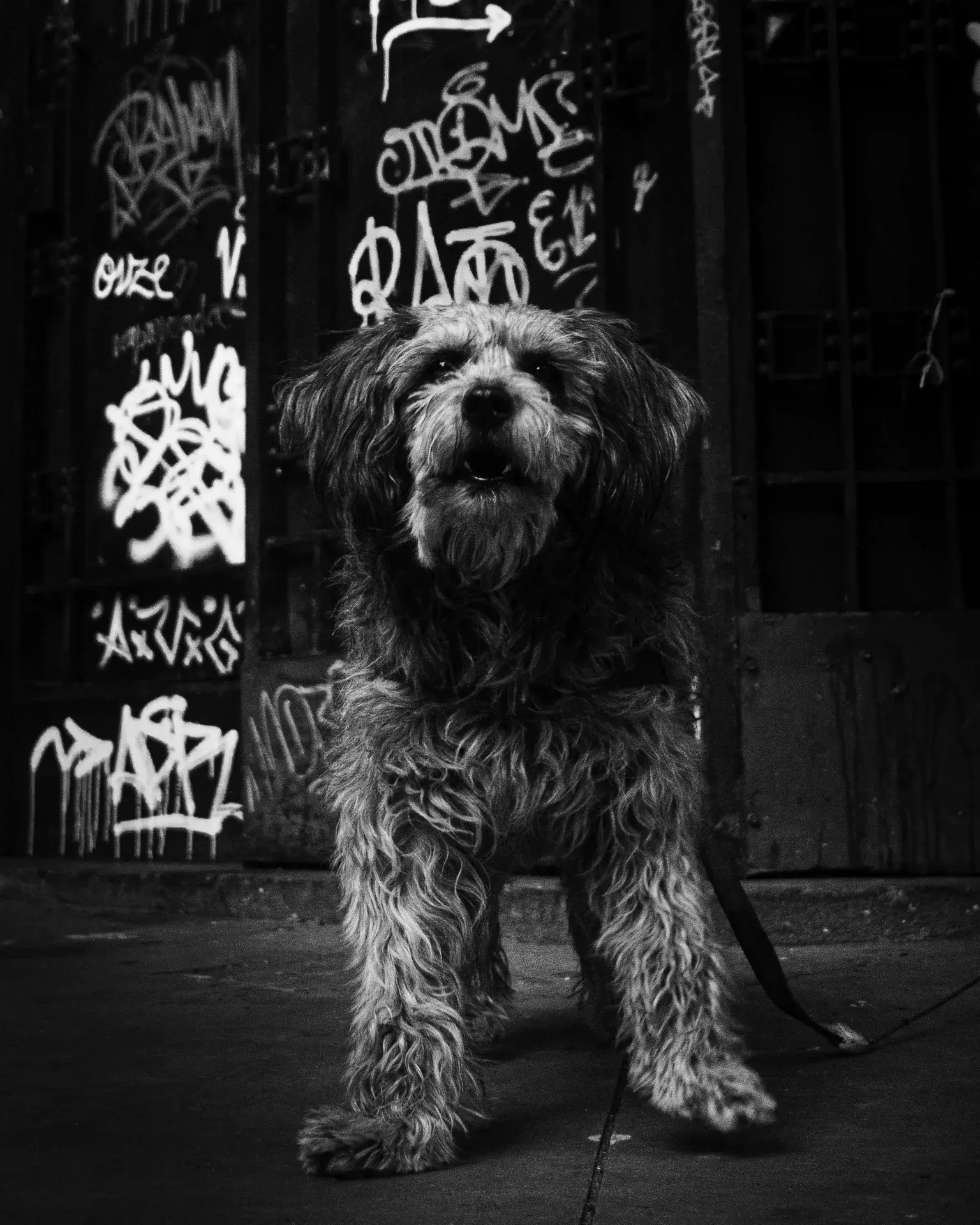 Street Photography — foto 21